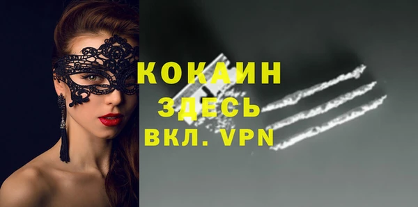 гидра Алексин