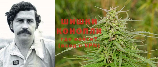 гидра Алексин
