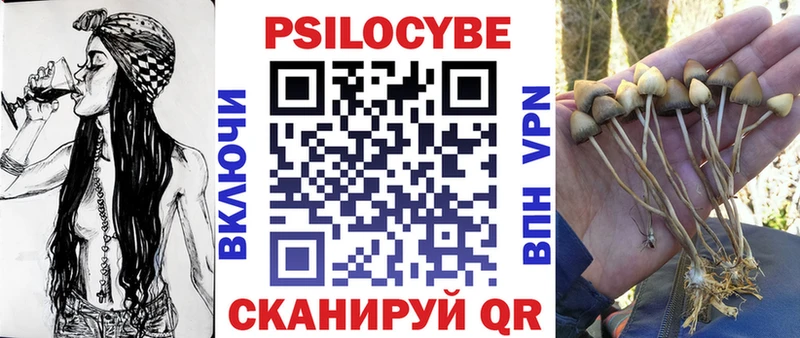 Галлюциногенные грибы Cubensis  где купить наркотик  Электрогорск 