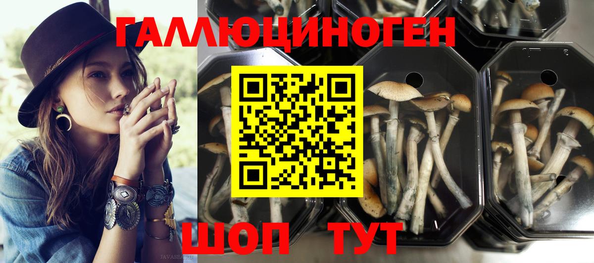 Псилоцибиновые грибы мухоморы  Галлюциногенные грибы Psilocybe  Электрогорск  Вход с VPN 